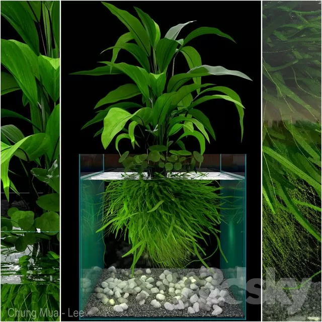 3DSKYFREE – DECOR - AQUARIUM 3DS MAX MODELS