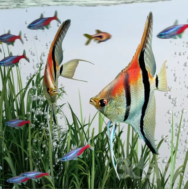 3DSKYFREE – DECOR - AQUARIUM 3DS MAX MODELS