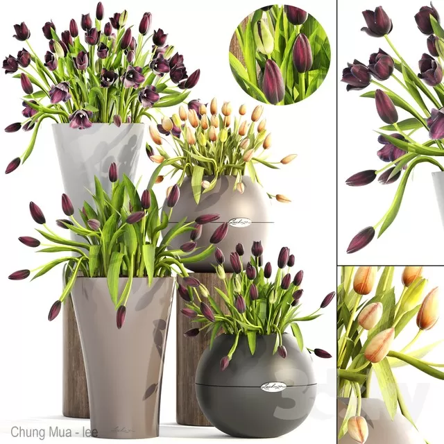 3DSKYFREE – DECOR - FLOWER 3DS MAX MODELS