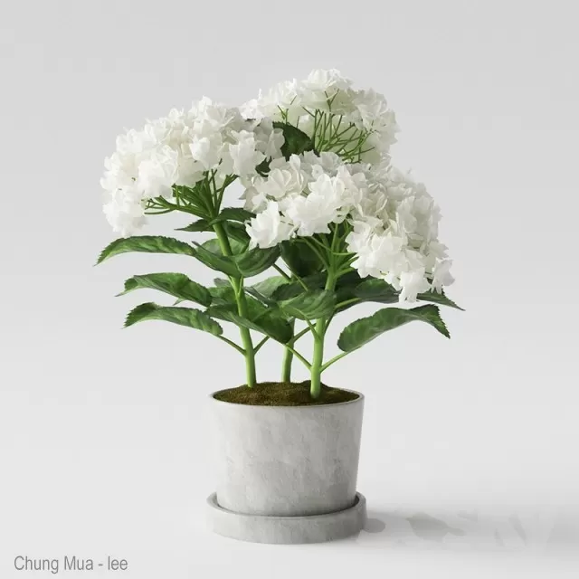 3DSKYFREE – DECOR - FLOWER 3DS MAX MODELS
