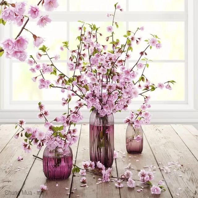 3DSKYFREE – DECOR - FLOWER 3DS MAX MODELS