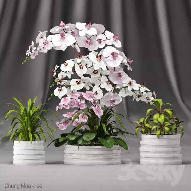 3DSKYFREE – DECOR - FLOWER 3DS MAX MODELS