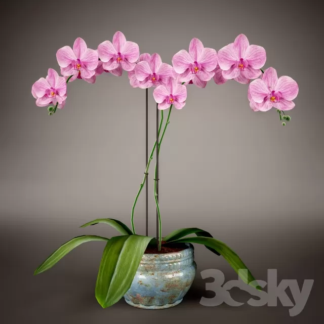 3DSKYFREE – DECOR - FLOWER 3DS MAX MODELS