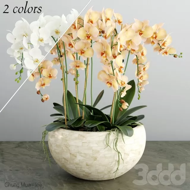 3DSKYFREE – DECOR - FLOWER 3DS MAX MODELS