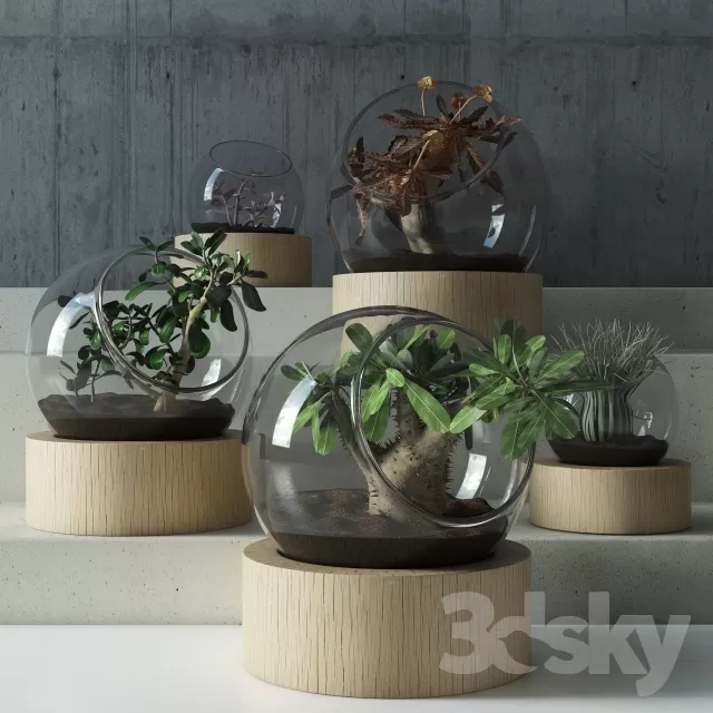 DECORATIVE SET 3D MODELS – 103