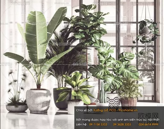 3DSKYFREE – FLOWER - PLANT 3DS MAX MODELS