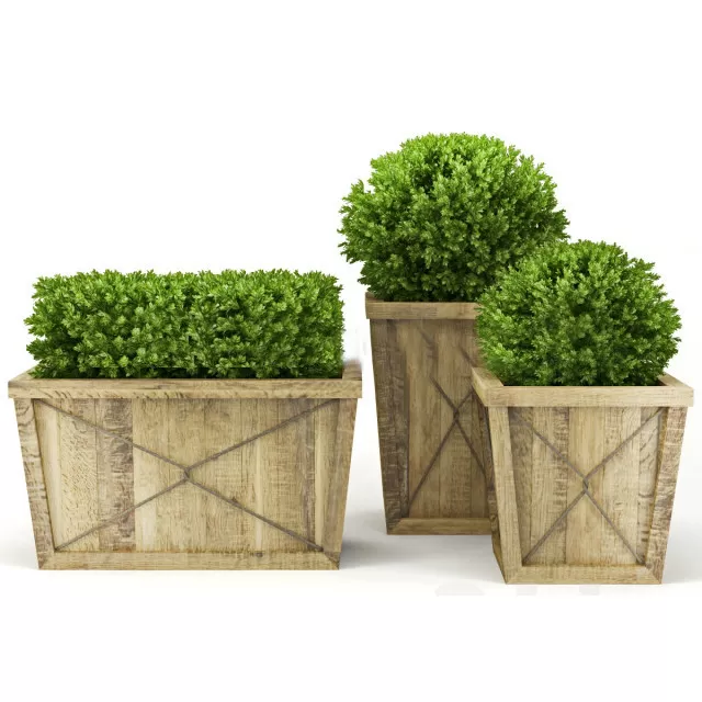 3DSKYFREE – FLOWER - PLANT 3DS MAX MODELS