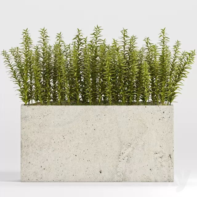 3DSKYFREE – FLOWER - PLANT 3DS MAX MODELS