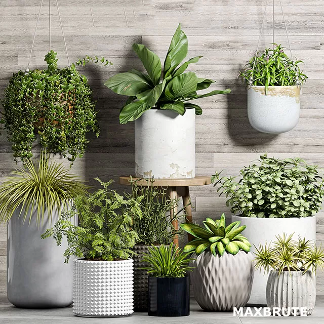 3DSKYFREE – FLOWER - PLANT 3DS MAX MODELS