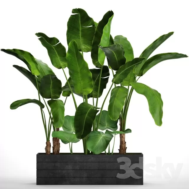 3DSKYFREE – FLOWER - PLANT 3DS MAX MODELS