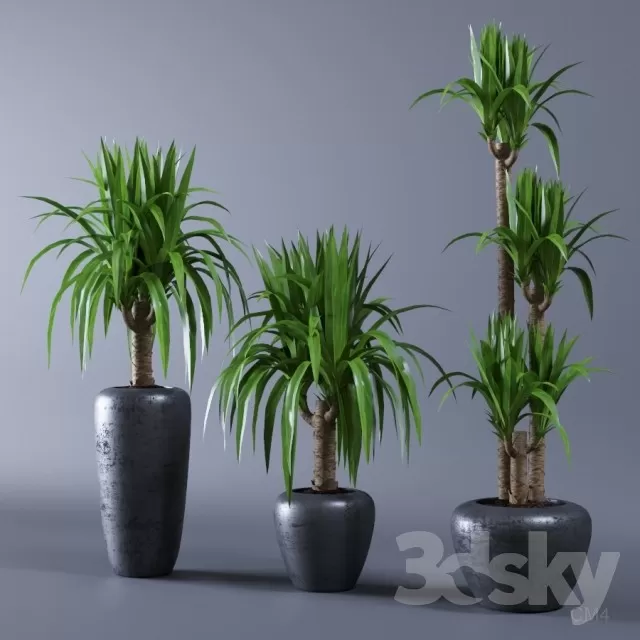 3DSKYFREE – FLOWER - PLANT 3DS MAX MODELS