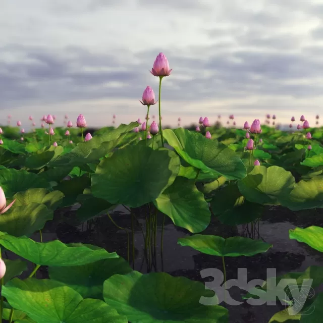 3DSKYFREE – FLOWER - PLANT 3DS MAX MODELS