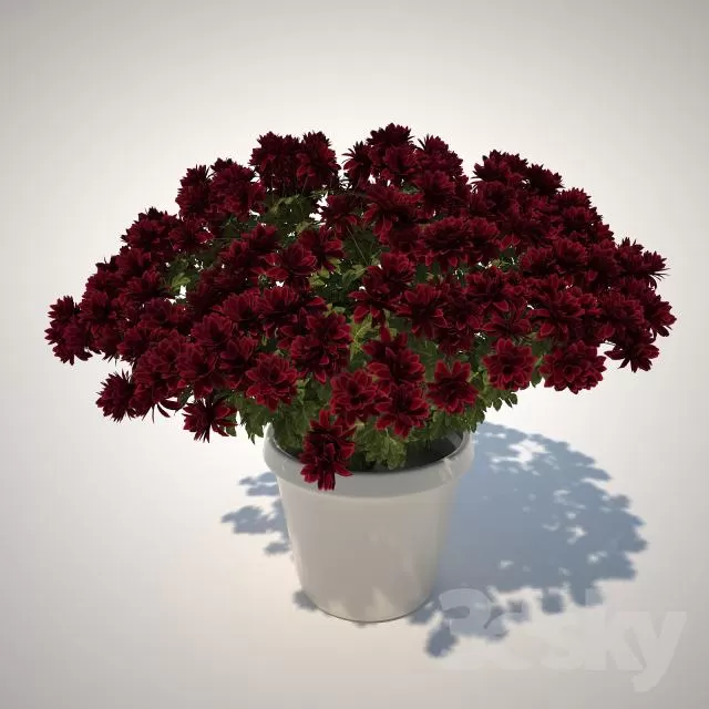 3DSKYFREE – FLOWER - PLANT 3DS MAX MODELS