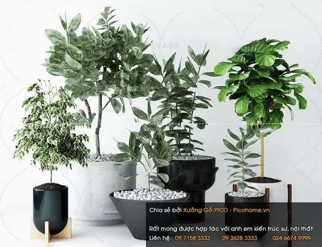 3DSKYFREE – FLOWER - PLANT 3DS MAX MODELS