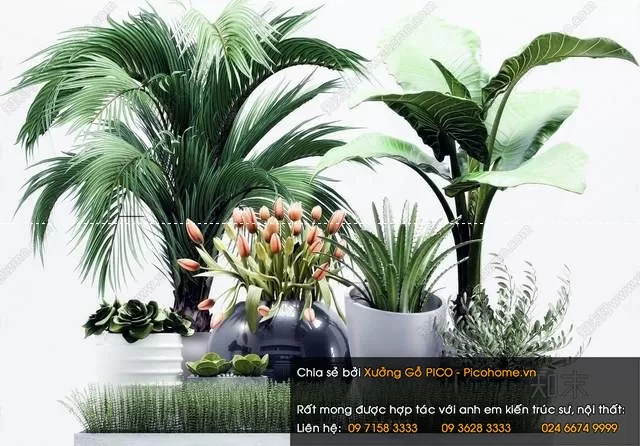 3DSKYFREE – FLOWER - PLANT 3DS MAX MODELS