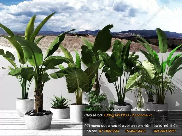 3DSKYFREE – FLOWER - PLANT 3DS MAX MODELS