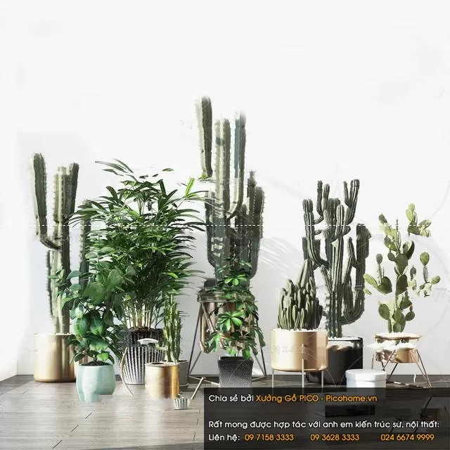 3DSKYFREE – FLOWER - PLANT 3DS MAX MODELS