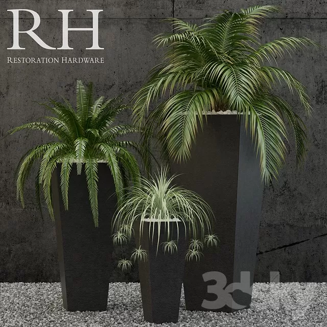 FLOWER - PLANT 3D MODELS