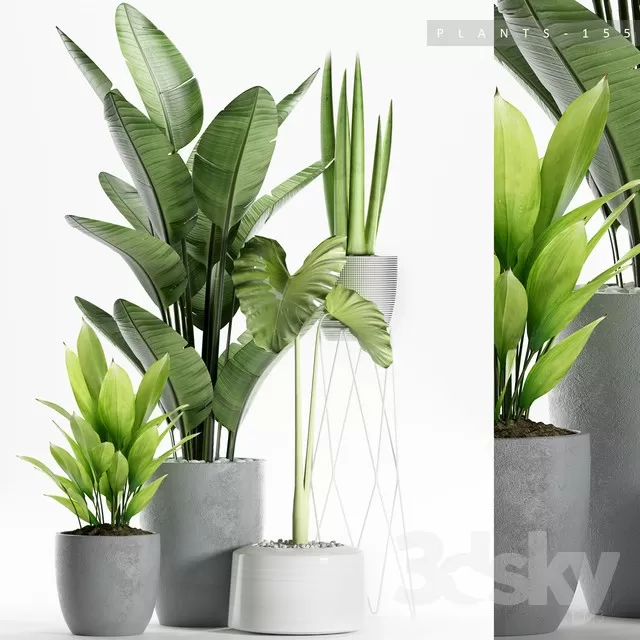 3DSKYFREE – FLOWER - PLANT 3DS MAX MODELS