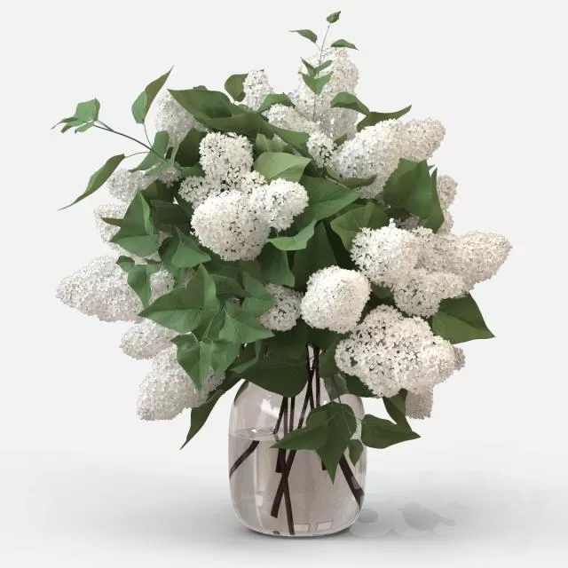 3DSKYFREE – FLOWER - PLANT 3DS MAX MODELS