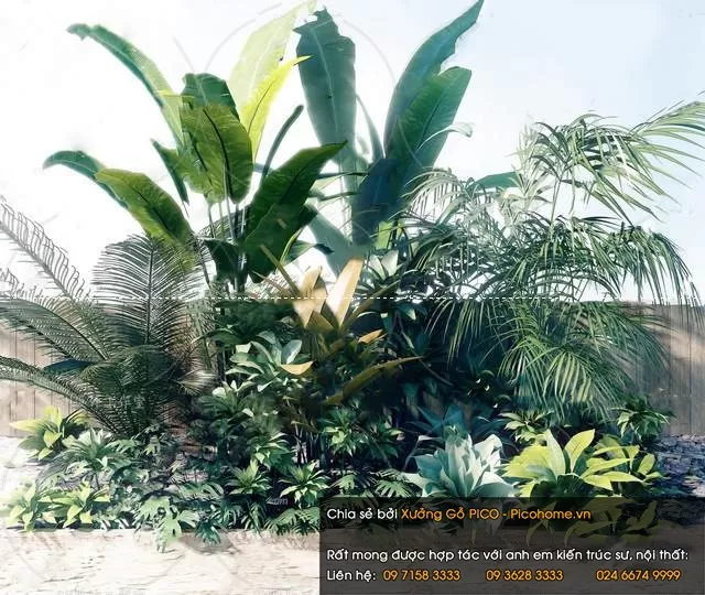 FLOWER - PLANT 3D MODELS