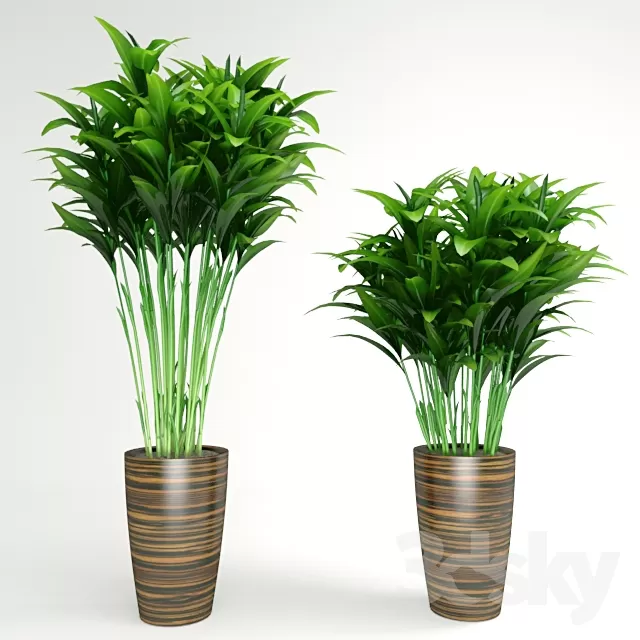 FLOWER - PLANT 3D MODELS