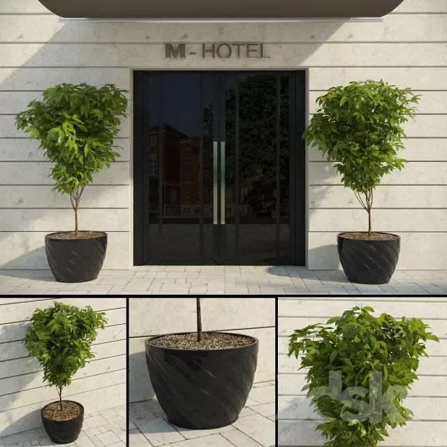 3DSKYFREE – FLOWER - PLANT 3DS MAX MODELS
