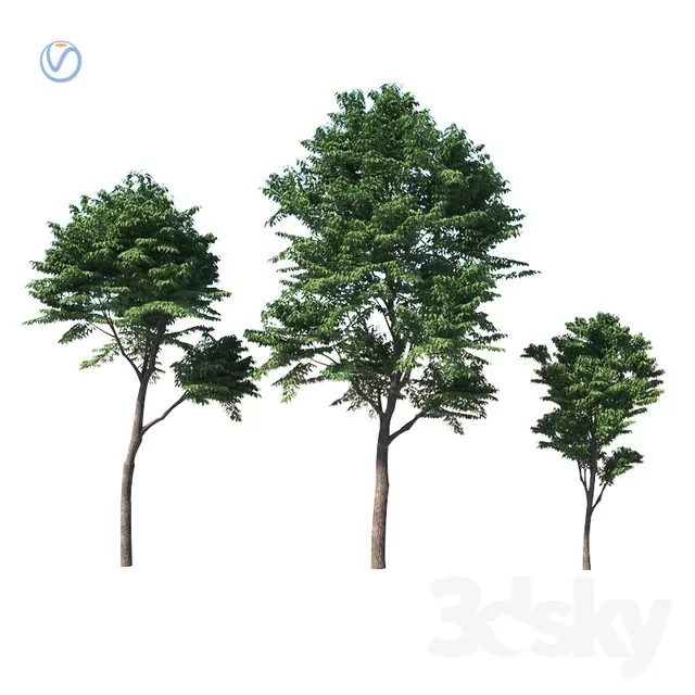 3DSKYFREE – FLOWER - PLANT 3DS MAX MODELS