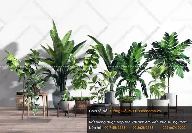 3DSKYFREE – FLOWER - PLANT 3DS MAX MODELS