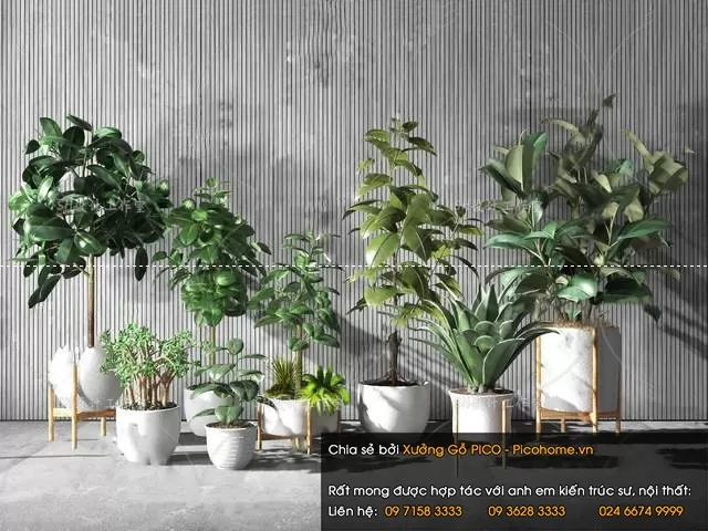 3DSKYFREE – FLOWER - PLANT 3DS MAX MODELS