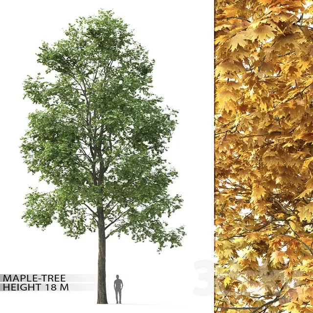 3DSKYFREE – FLOWER - PLANT 3DS MAX MODELS