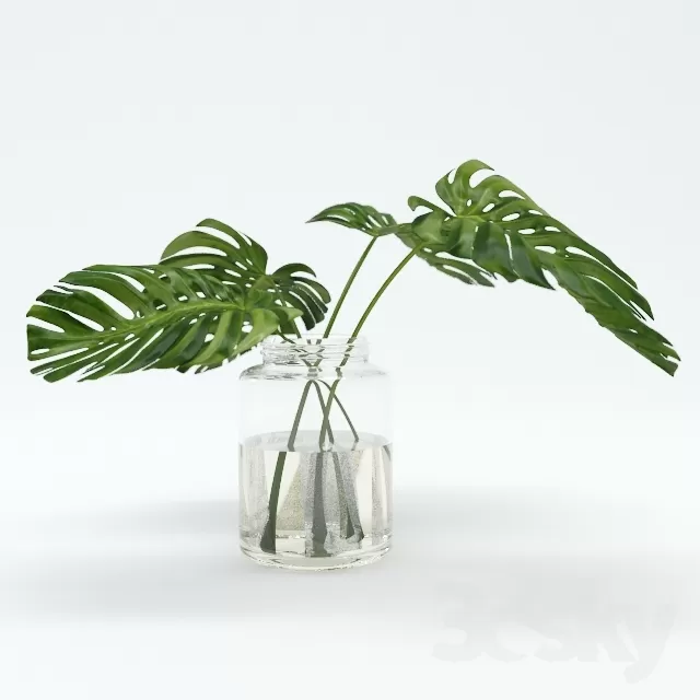 FLOWER - PLANT 3D MODELS