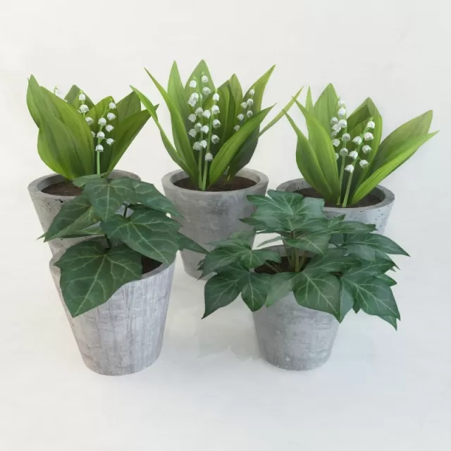 3DSKYFREE – FLOWER - PLANT 3DS MAX MODELS