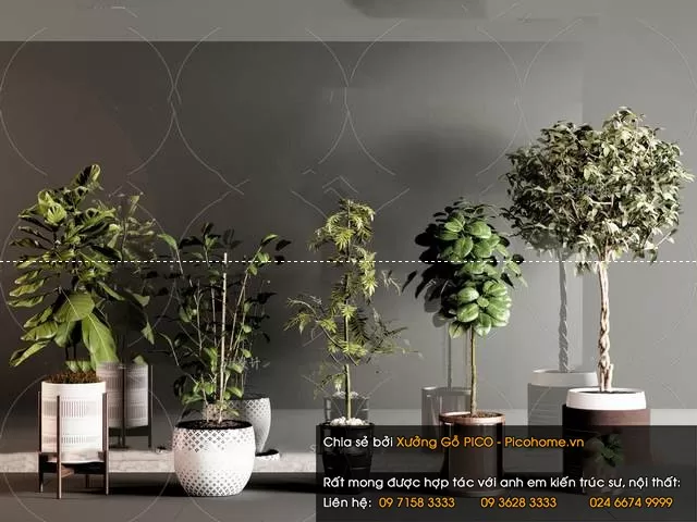 3DSKYFREE – FLOWER - PLANT 3DS MAX MODELS