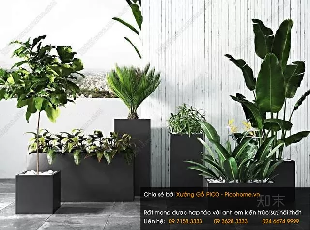 3DSKYFREE – FLOWER - PLANT 3DS MAX MODELS