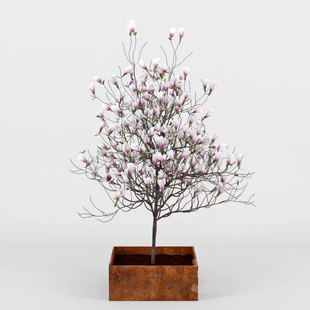 3DSKYFREE – FLOWER - PLANT 3DS MAX MODELS