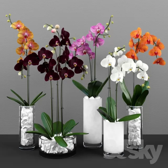 3DSKYFREE – FLOWER - PLANT 3DS MAX MODELS