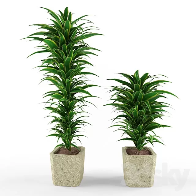 3DSKYFREE – FLOWER - PLANT 3DS MAX MODELS