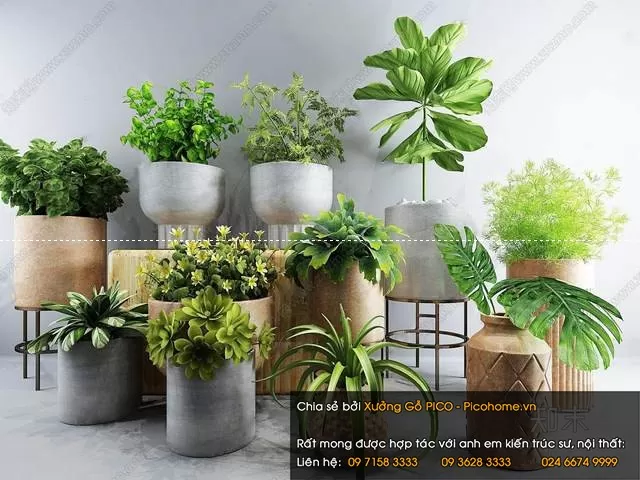 3DSKYFREE – FLOWER - PLANT 3DS MAX MODELS