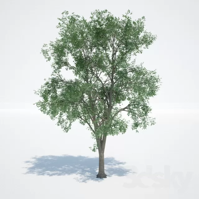 3DSKYFREE – FLOWER - PLANT 3DS MAX MODELS