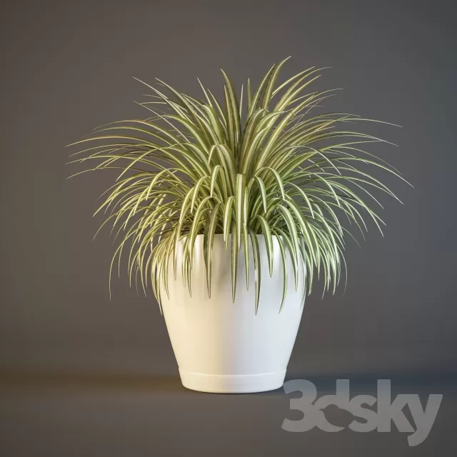 3DSKYFREE – FLOWER - PLANT 3DS MAX MODELS
