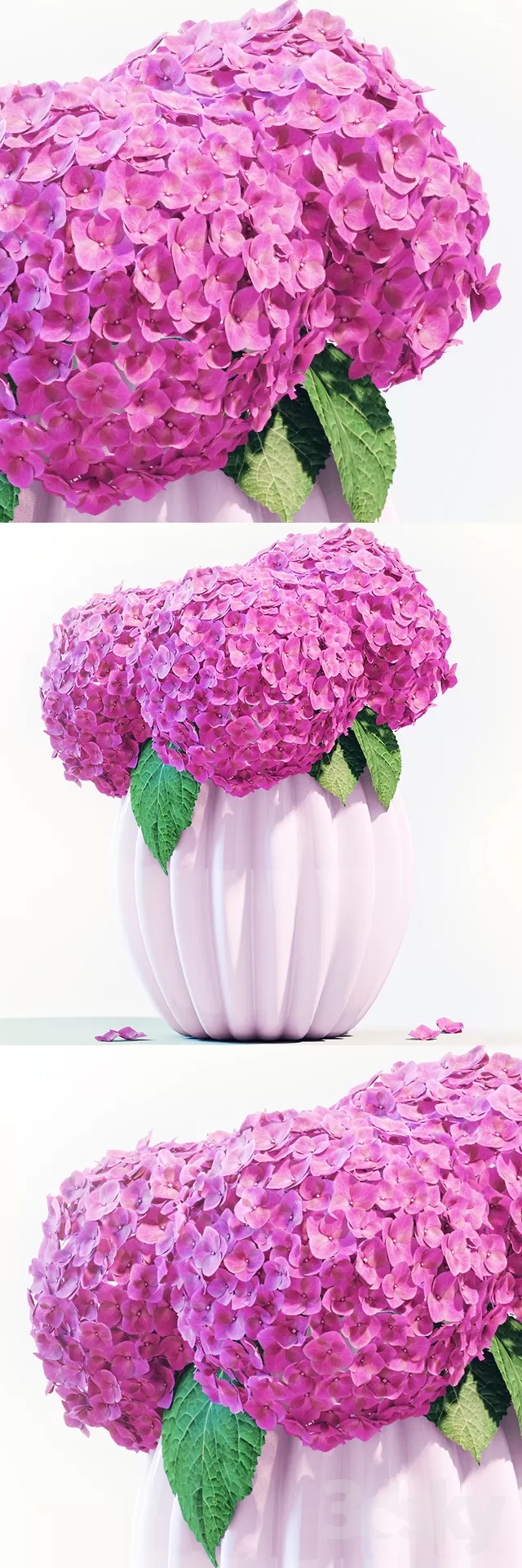 3DSKYFREE – FLOWER - PLANT 3DS MAX MODELS