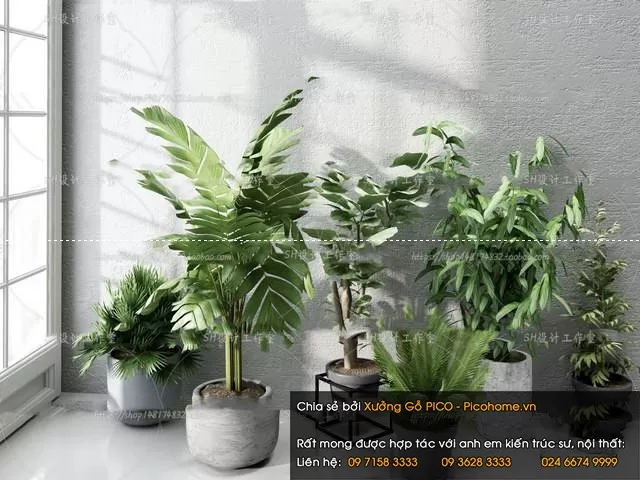 3DSKYFREE – FLOWER - PLANT 3DS MAX MODELS