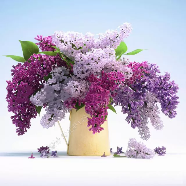 3DSKYFREE – FLOWER - PLANT 3DS MAX MODELS