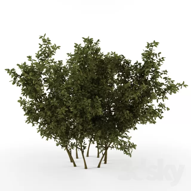 3DSKYFREE – FLOWER - PLANT 3DS MAX MODELS