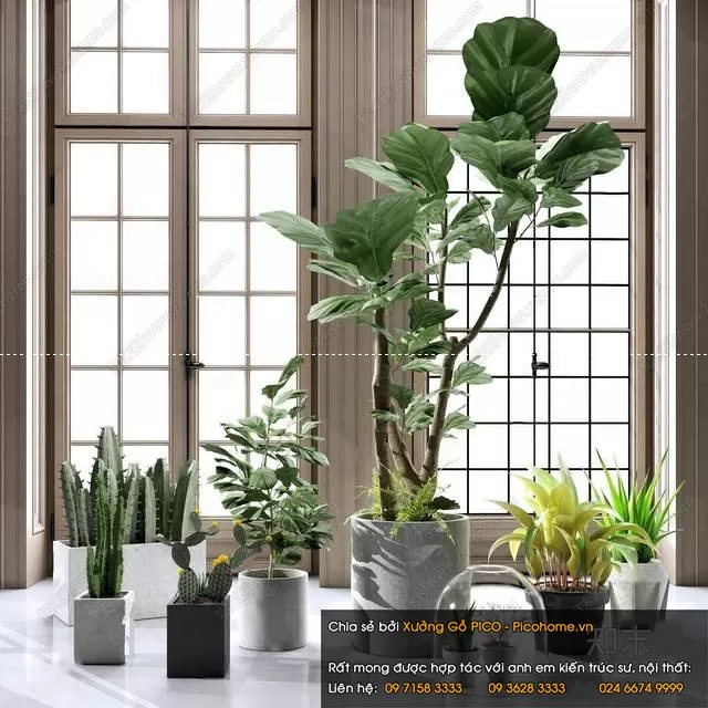 3DSKYFREE – FLOWER - PLANT 3DS MAX MODELS