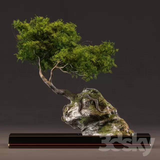 3DSKYFREE – FLOWER - PLANT 3DS MAX MODELS