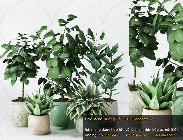 3DSKYFREE – FLOWER - PLANT 3DS MAX MODELS