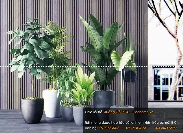 3DSKYFREE – FLOWER - PLANT 3DS MAX MODELS