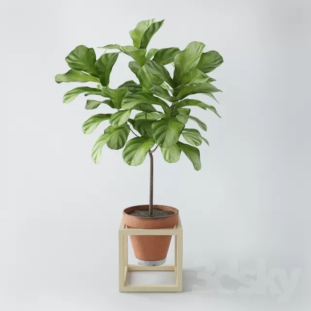 3DSKYFREE – FLOWER - PLANT 3DS MAX MODELS